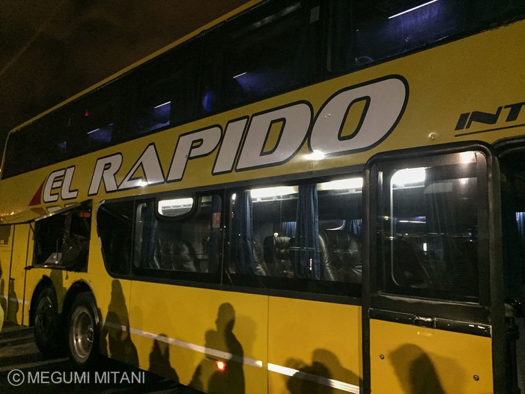 アルゼンチン・バス旅(c)Megumi Mitani