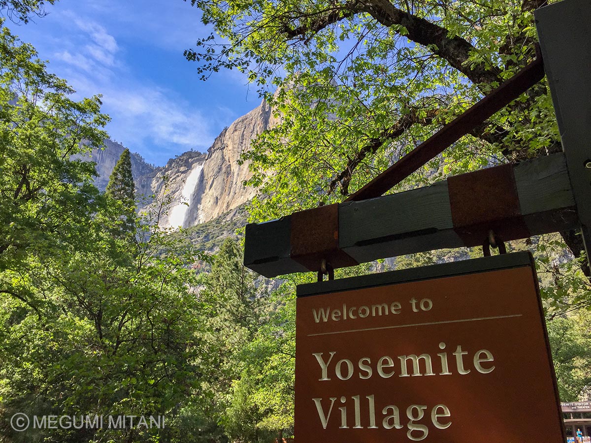 Yosemite-Village(c)Megumi Mitani