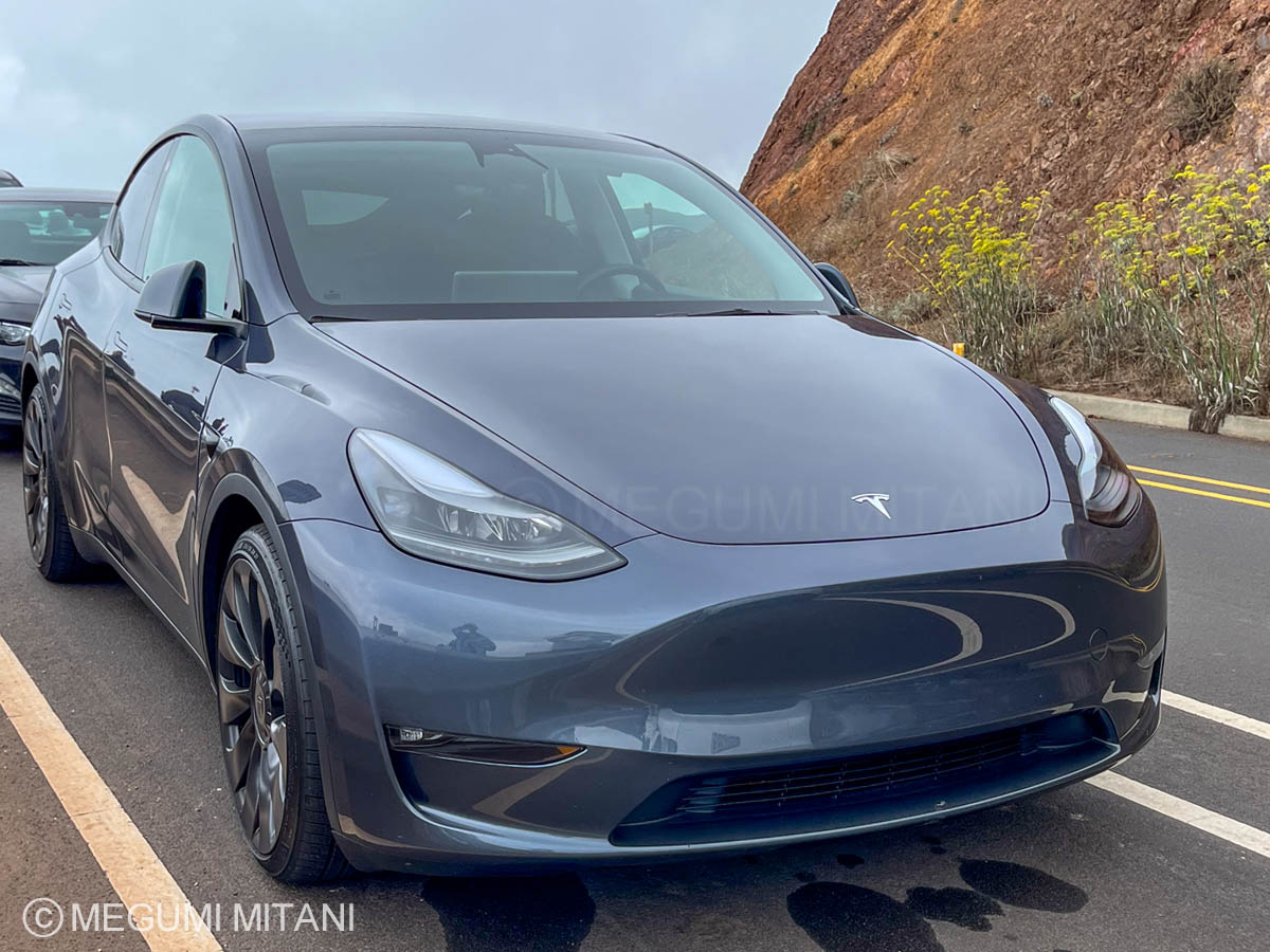 Teslaテスラは都市部向き(c)Megumi Mitani