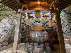 狭井神社 ご神水(c)Megumi Mitani