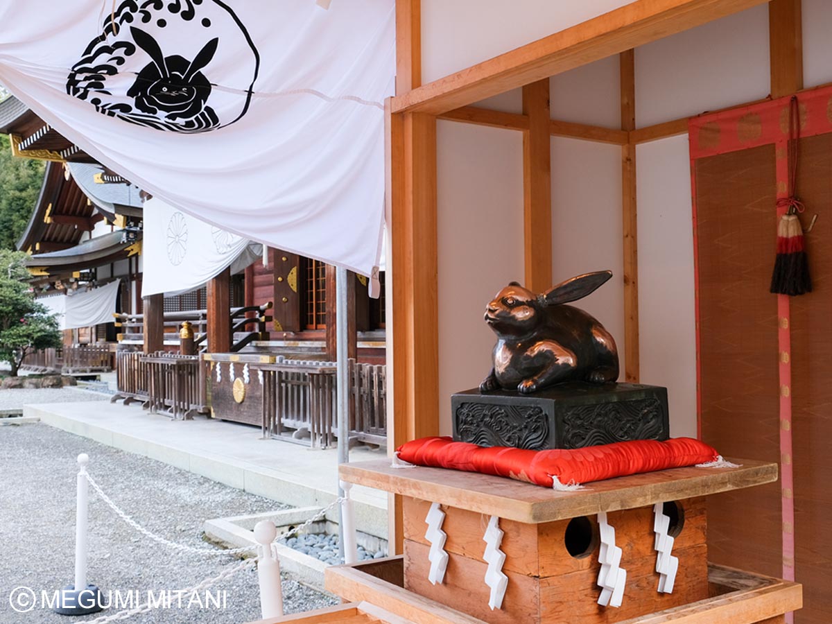 大神神社 なでうさぎ(c)Megumi Mitani