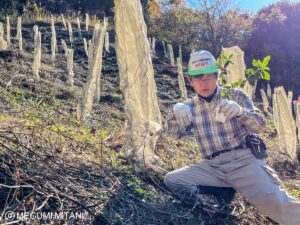 みなべ町ウバメガシ植林体験(c)Megumi Mitani