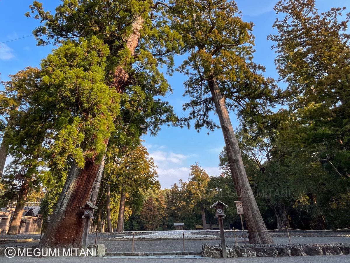 伊勢神宮「外宮」古殿地(c)Megumi Mitani
