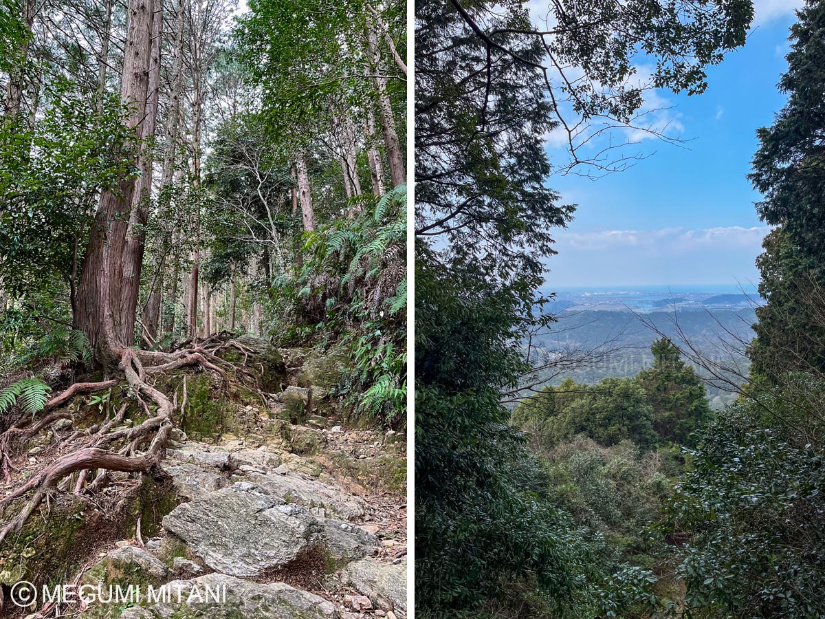 朝熊山 登山道(c)Megumi Mitani