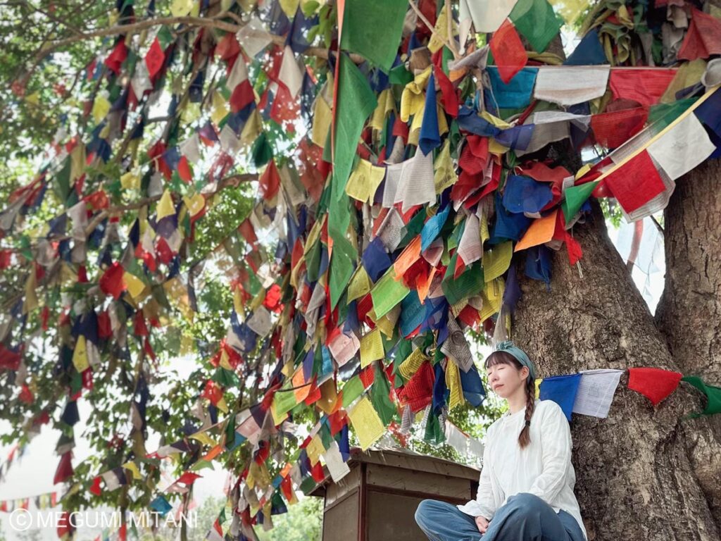 ヴィパッサナー瞑想10日間コースを終えた感想・学び・気づき(c)Megumi Mitani