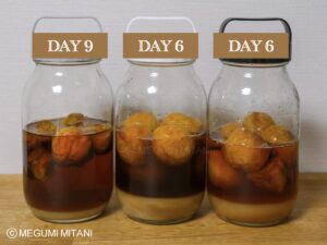 南高梅シロップ9日目(c)Megumi Mitani