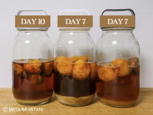 南高梅シロップ10日目(c)Megumi Mitani