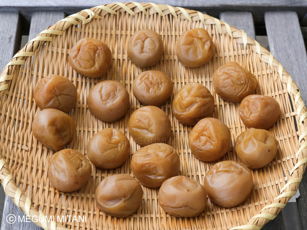 梅干しを干すDAY1(c)Megumi Mitani