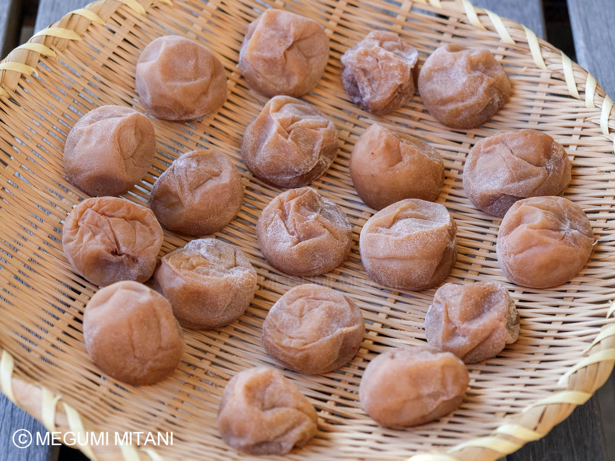 梅干しを干すDAY2(c)Megumi Mitani