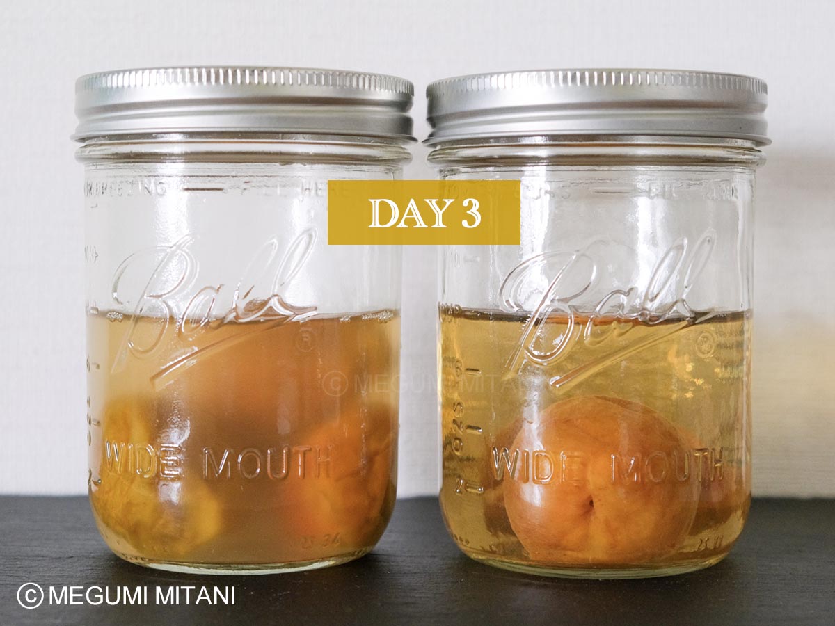 梅酵母液3日目(c)Megumi Mitani