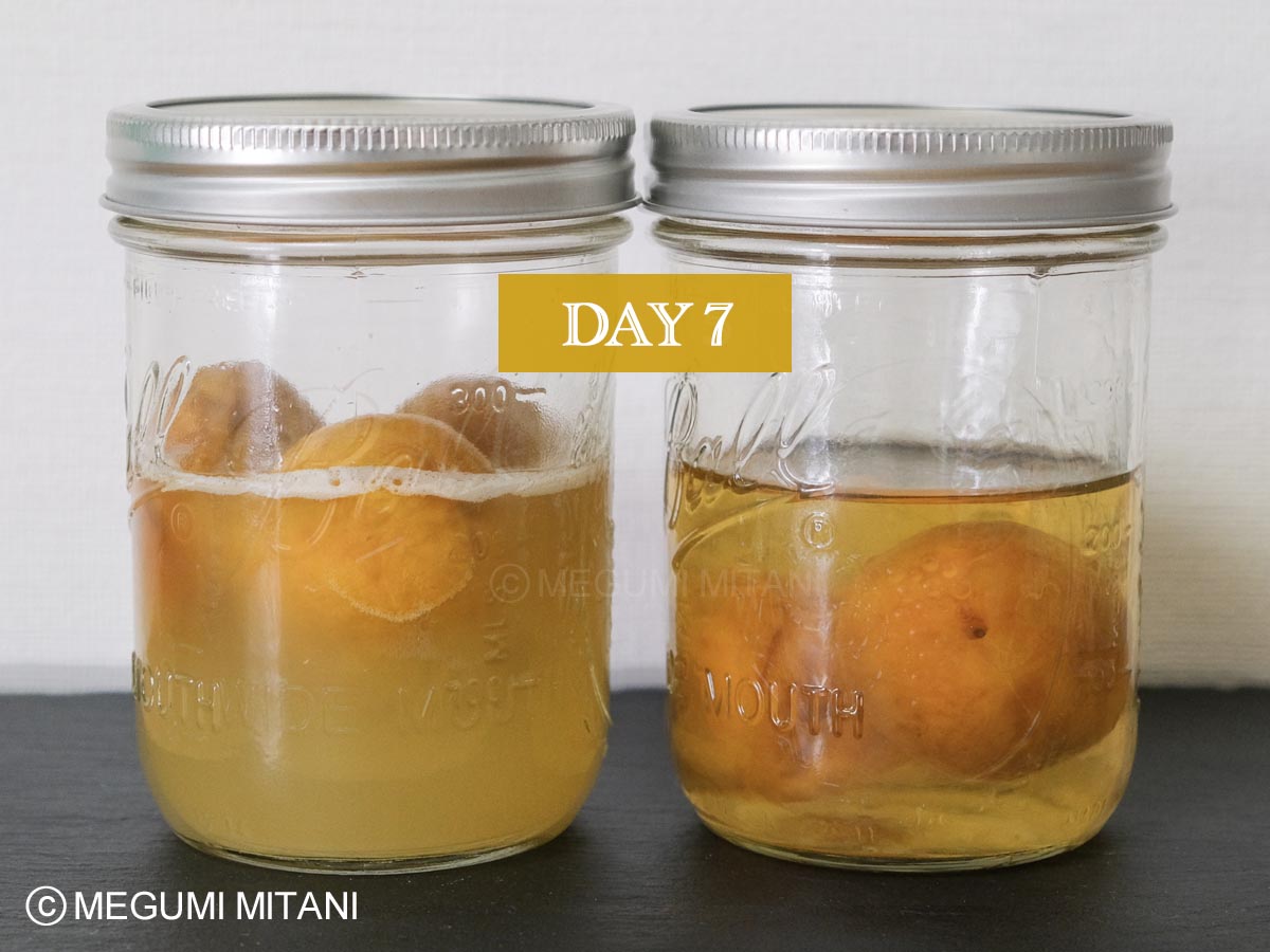 梅酵母液7日目(c)Megumi Mitani