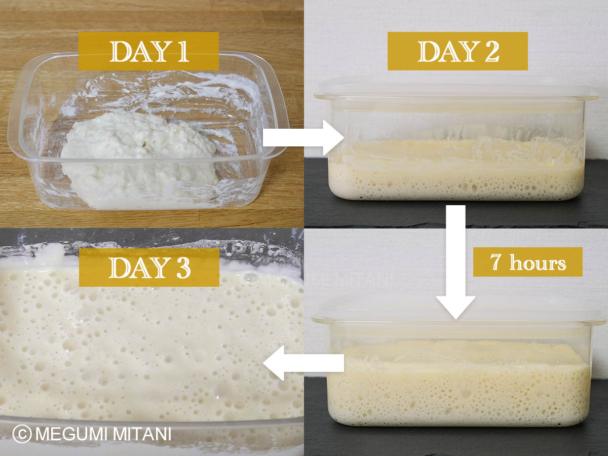 梅酵母種パン作り(c)Megumi Mitani