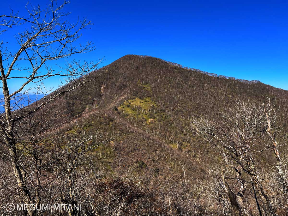 駒ヶ岳から見る黒檜山(c)Megumi Mitani