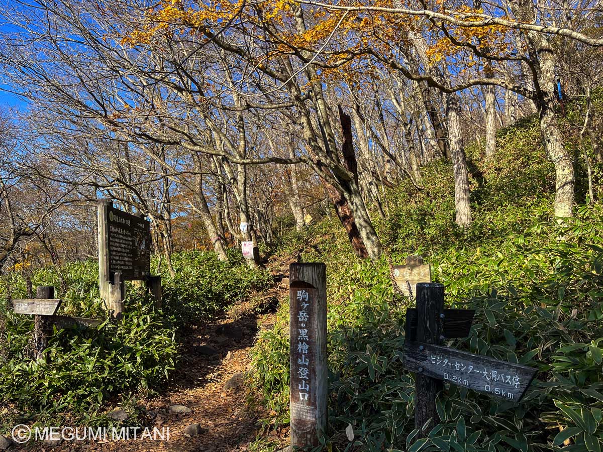 駒ヶ岳登山口(c)Megumi Mitani