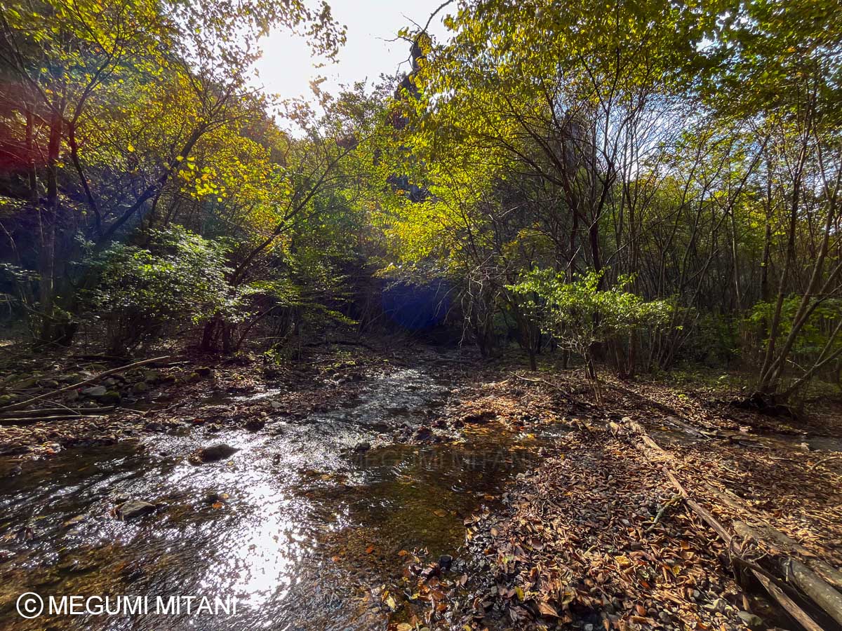 関東ふれあいの道「榛名湖へのみち」(c)Megumi Mitani