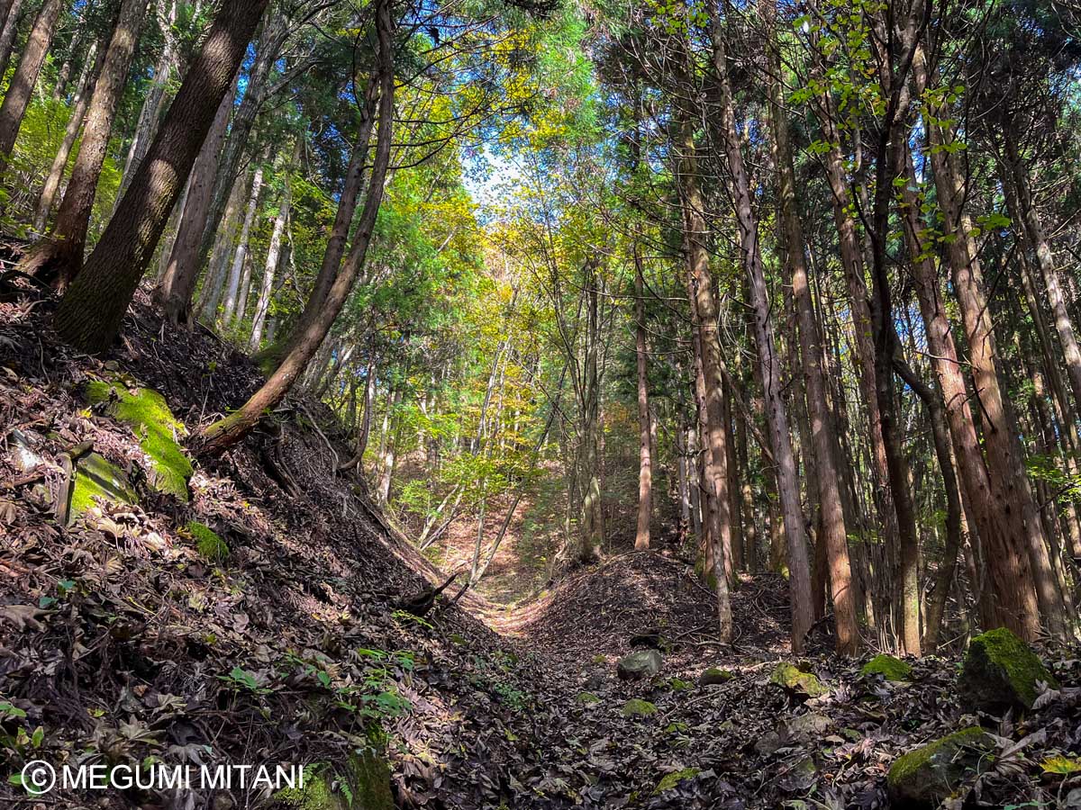 関東ふれあいの道「榛名湖へのみち」(c)Megumi Mitani