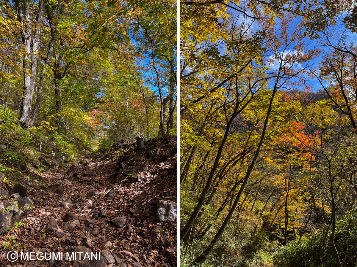 関東ふれあいの道「榛名湖へのみち」(c)Megumi Mitani
