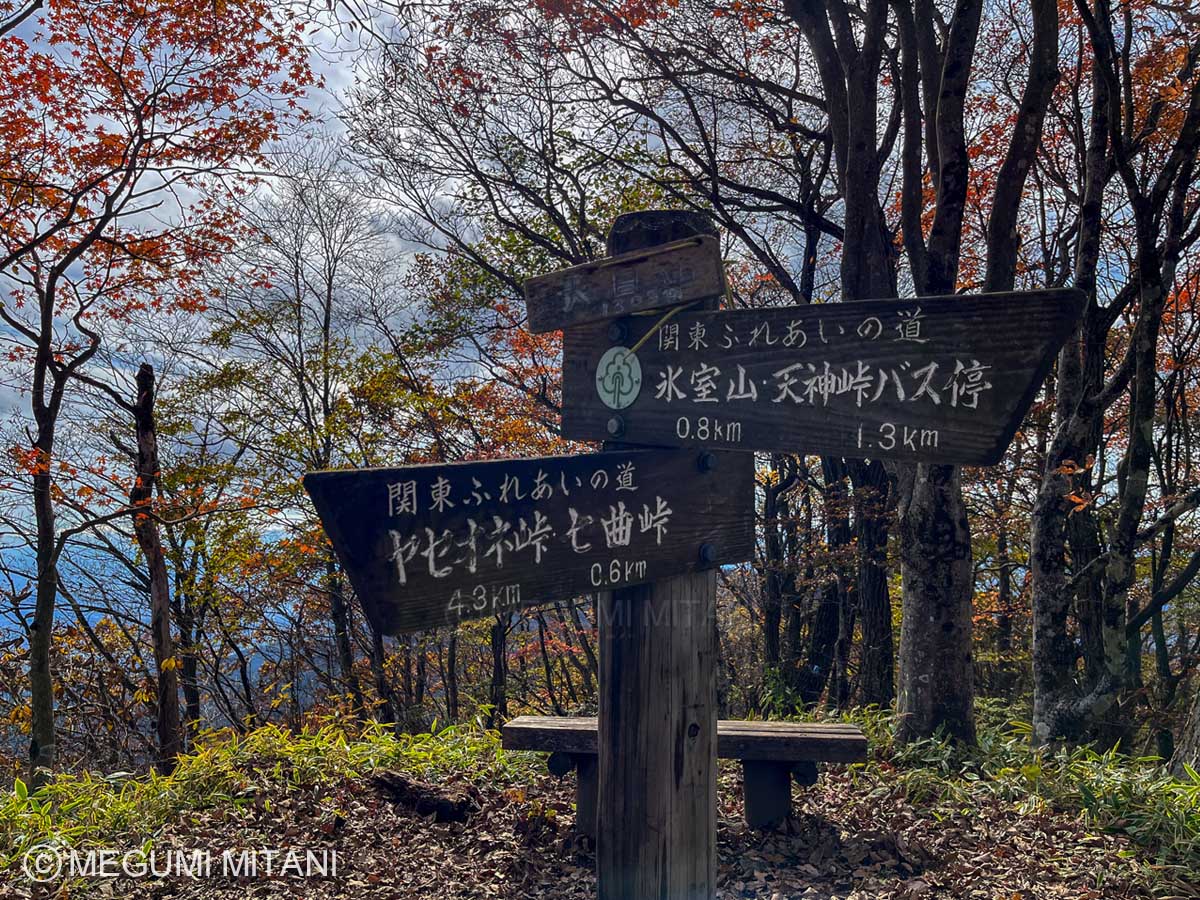 関東ふれあいの道「榛名湖へのみち」天目山(c)Megumi Mitani