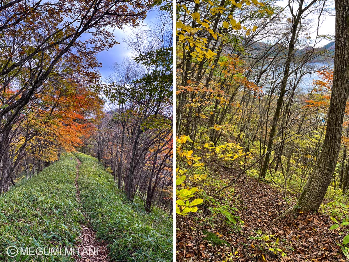 関東ふれあいの道 天目山から榛名湖方面へ(c)Megumi Mitani