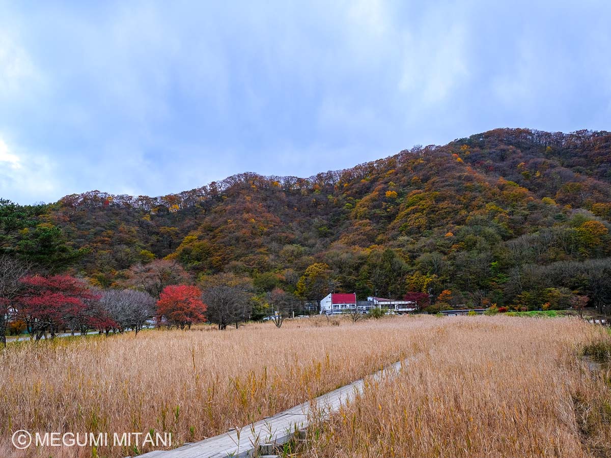 榛名湖からの天目山(c)Megumi Mitani