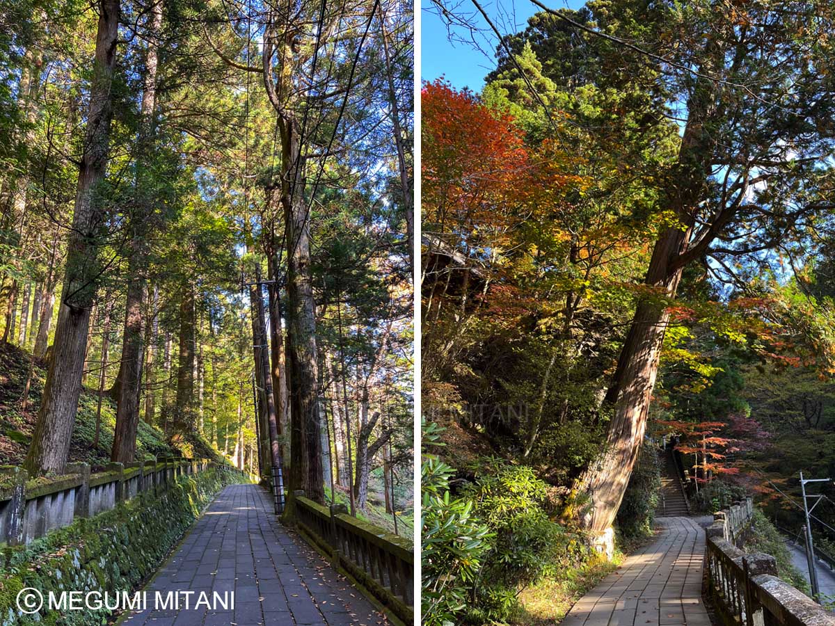 「榛名神社」参道(c)Megumi Mitani