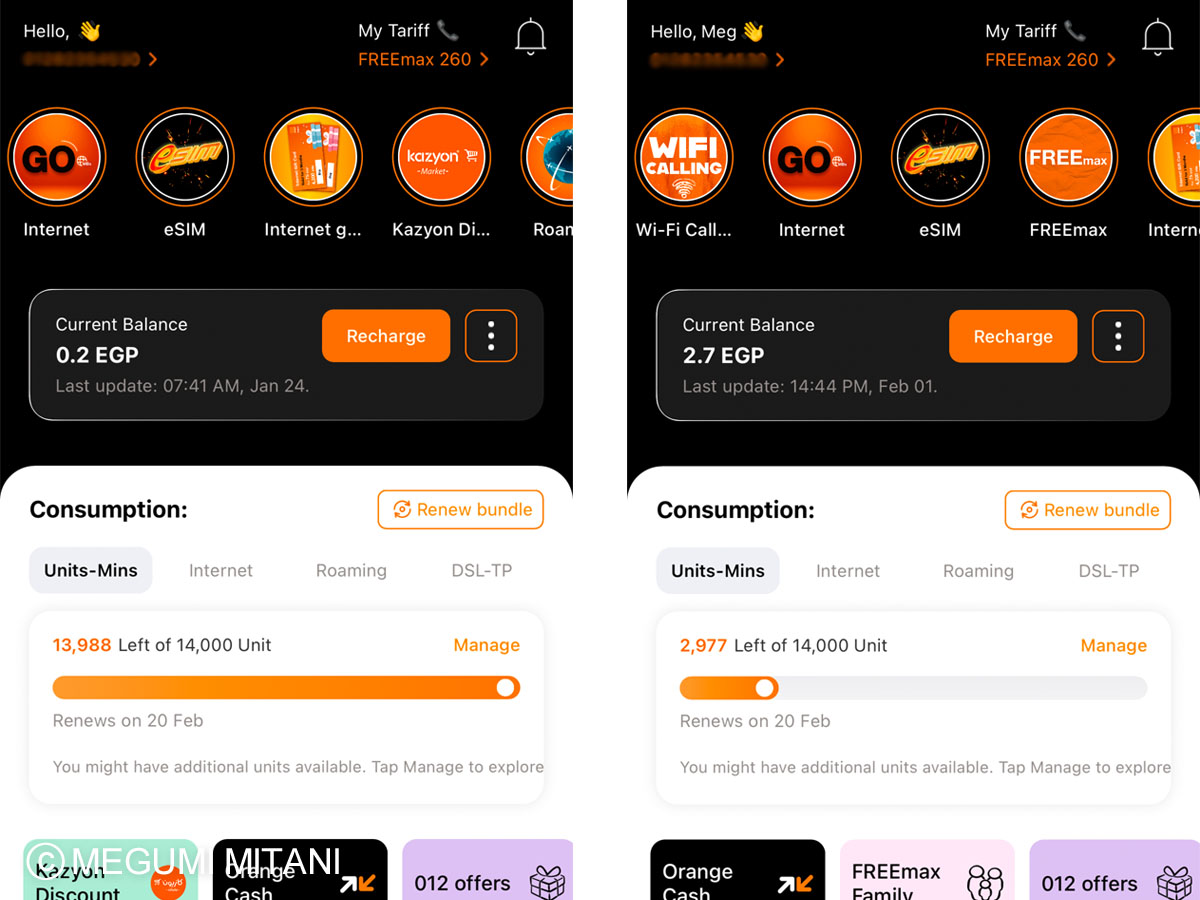 エジプトSIMのOrange(c)Megumi Mitani