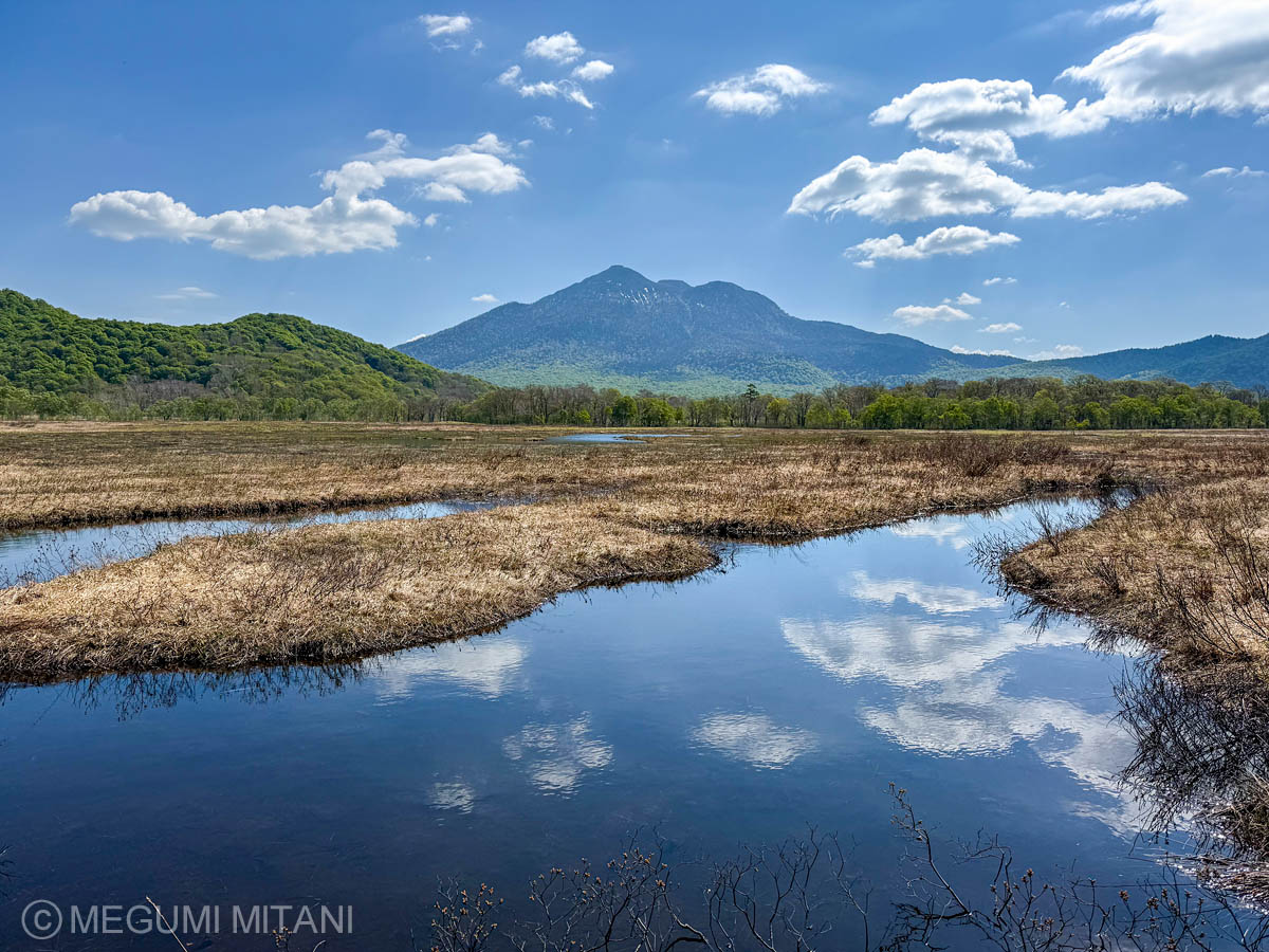 尾瀬国立公園(c)Megumi Mitani