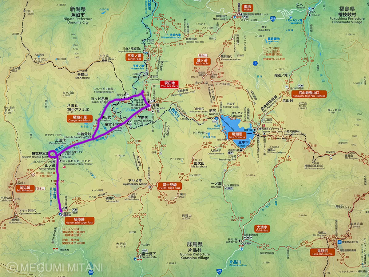 水芭蕉を楽しむルート(c)Megumi Mitani