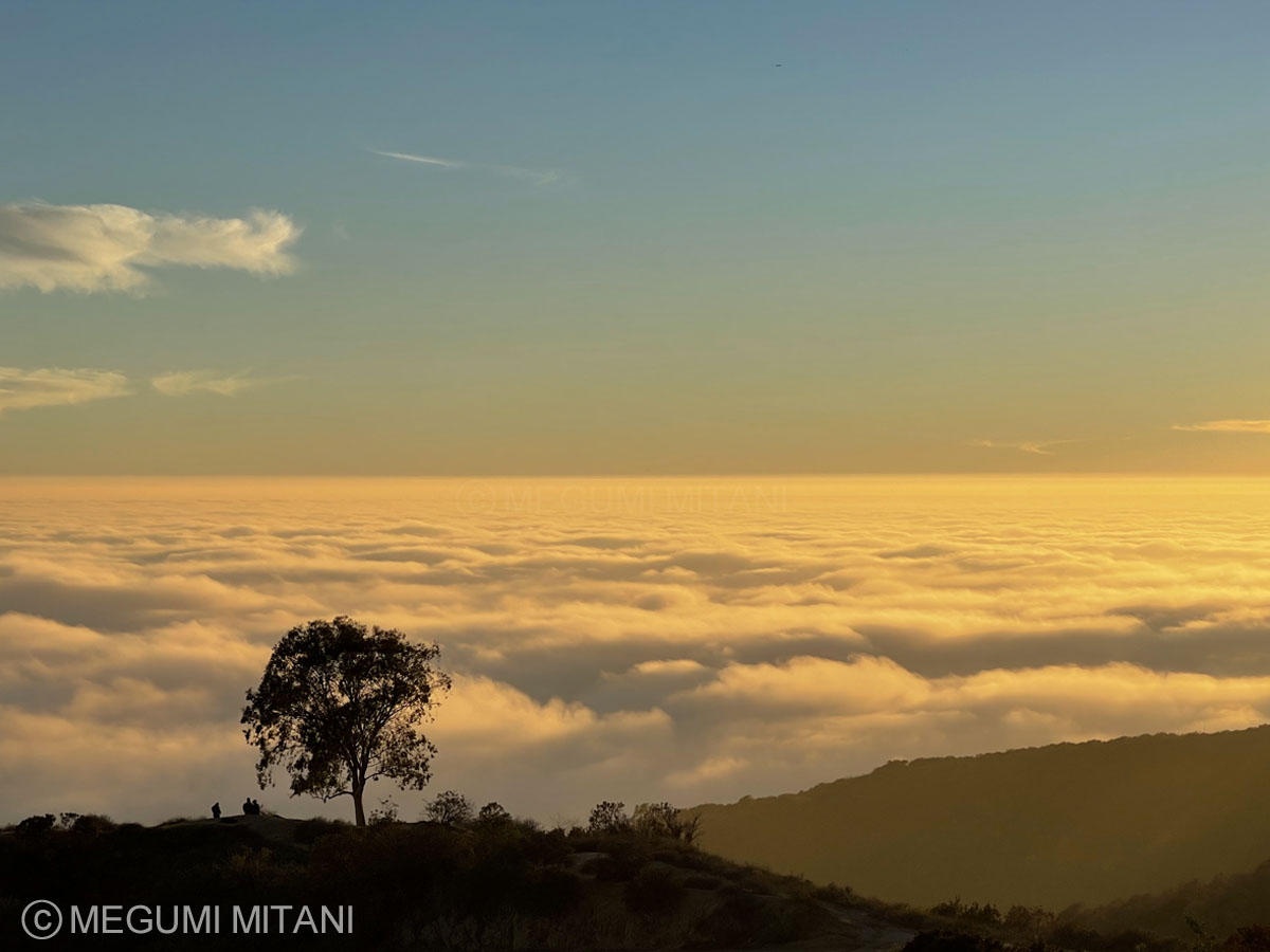 Not freeing, but being (c)Megumi Mitani