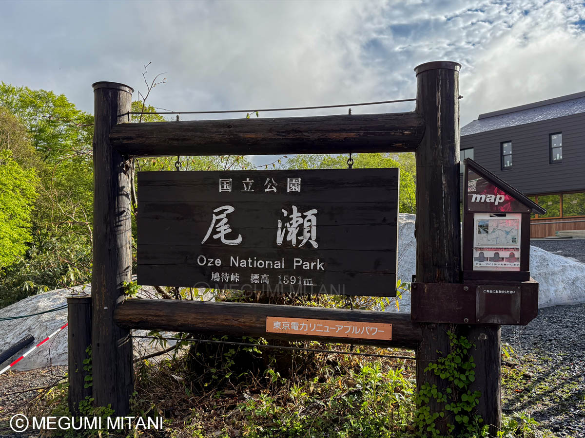 尾瀬・鳩待峠(c)Megumi Mitani